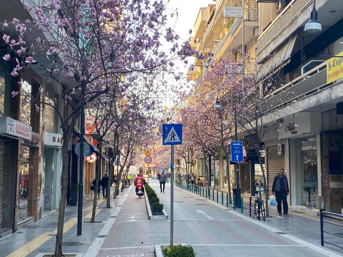 Great Alexander Street, Larisa Apartment Екстериор снимка
